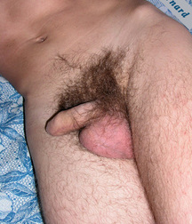 Bernad gay porn 61f7985c4c790.jpg