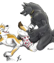 Gay Furry Yiff  5827098cc3531.jpg