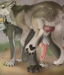Gay Furry Yiff  582709b643e9b.jpg