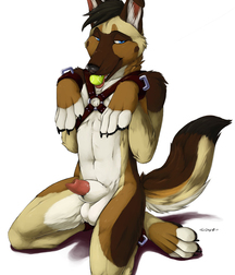 Gay Furry Yiff  582709c181cce.jpg