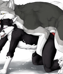 Gay Furry Yiff  582709c81ede3.jpg
