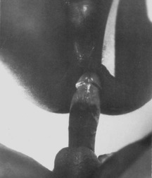 Vintage black teens and twinks sexmachines 5802a7b6d4b7b.jpg