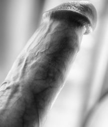 Noir & blanc 5b365217731d7.jpg