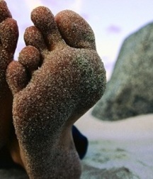 feet 22 5bf157507bee1.jpg