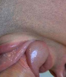 Uploaded by:beck 5c05698a878f2.jpg