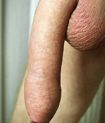 Monsters cocks boys porn 01 5f578404505ba.jpg