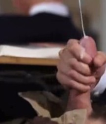 Screens by Me 5b66d24e633d2.jpg