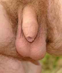 small is beautiful 592c2c027aebe.jpg