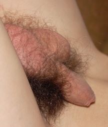 Uploaded by:eferrea 593029931aa0a.jpg