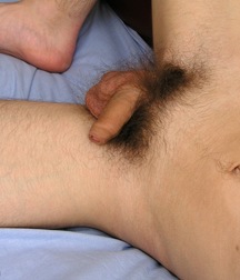 Uploaded by:eferrea 593029a015b4d.jpg