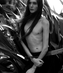 beauty 56c70613e82d1.jpg