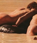 sandy longhairs 56d1e4b7efd4a.jpg