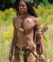 native american beauty 570bb46b394ce.jpg