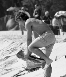 aquatic boys 578a45bc03166.jpg