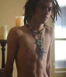 longhair beauties 3 57b10ffd7caf5.jpg