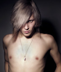 longhair beauties 3 57b1100130fb0.jpg