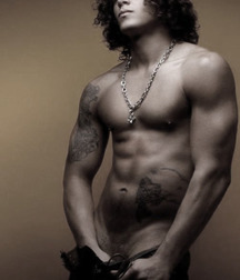 longhair beauties 3 57b110034de87.jpg