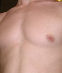 scott serie 56bf9a5141c4b.jpg