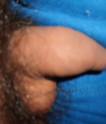 garçons 2 56c1bf00db498.jpg