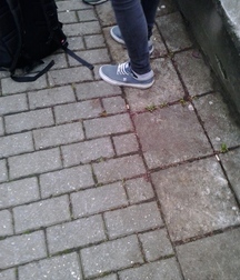 More sneaker and sock boys 58d19e9d6773a.jpg
