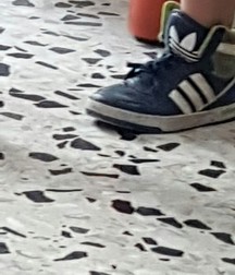 Sneakers and Cocks 59ac2b2167865.jpg
