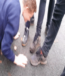 Sneakers and Cocks 59ac2b5485b7f.gif