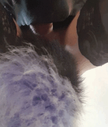 New Twinks 1 59f4a90200a5a.gif