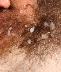 Jim 59433107dee6a.jpg