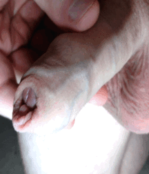 various5 5a0500209042c.gif