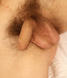 Aaric 5a6b08d603526.jpg