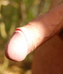 Alfie outdoors 5a6d433a1f87f.jpg