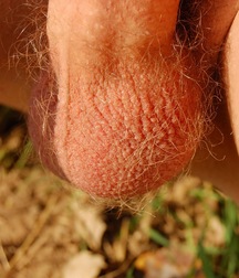 Alfie outdoors 5a6d43c3b6f85.jpg