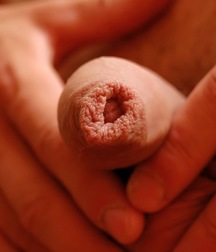 alik 5a6d4eff5ae78.jpg