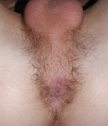 anto 5a72e5b781ebf.jpg