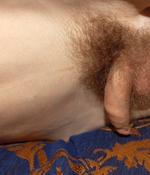 aron 5a77d21064a25.jpg