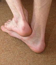 aron 5a77d26543b53.jpg