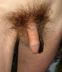 aron 5a790be7b7d3f.jpg