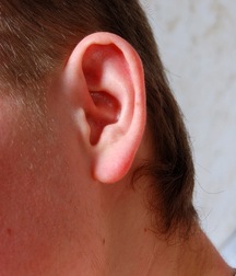 arseny 5a7980b6baee4.jpg