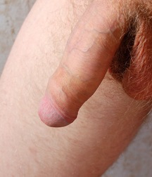 arseny 5a79810979f90.jpg