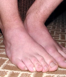 brody 5a86271b3b12a.jpg