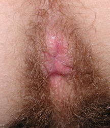 brody 5a86277e4e8df.jpg