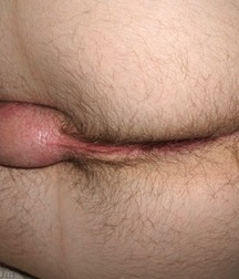 bolik 5a87b3e921c4a.jpg