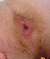 jonas 5a9927e51c143.jpg