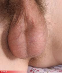 unwin 5abd7ee3c7d50.jpg