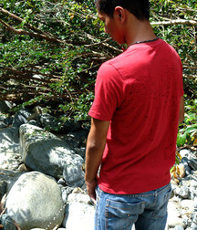cedro 5ac56aaf0b6fb.jpg