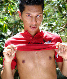 cedro 5ac56ab58d863.jpg