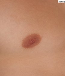 Borecek 5ac5ef6b6c8a4.jpg
