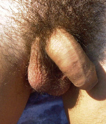 Zack 5ac6baca53ecd.jpg