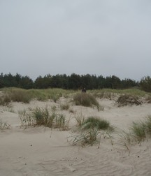 Denis 5ad940b56dd21.jpg