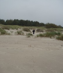Denis 5ad940b82138b.jpg